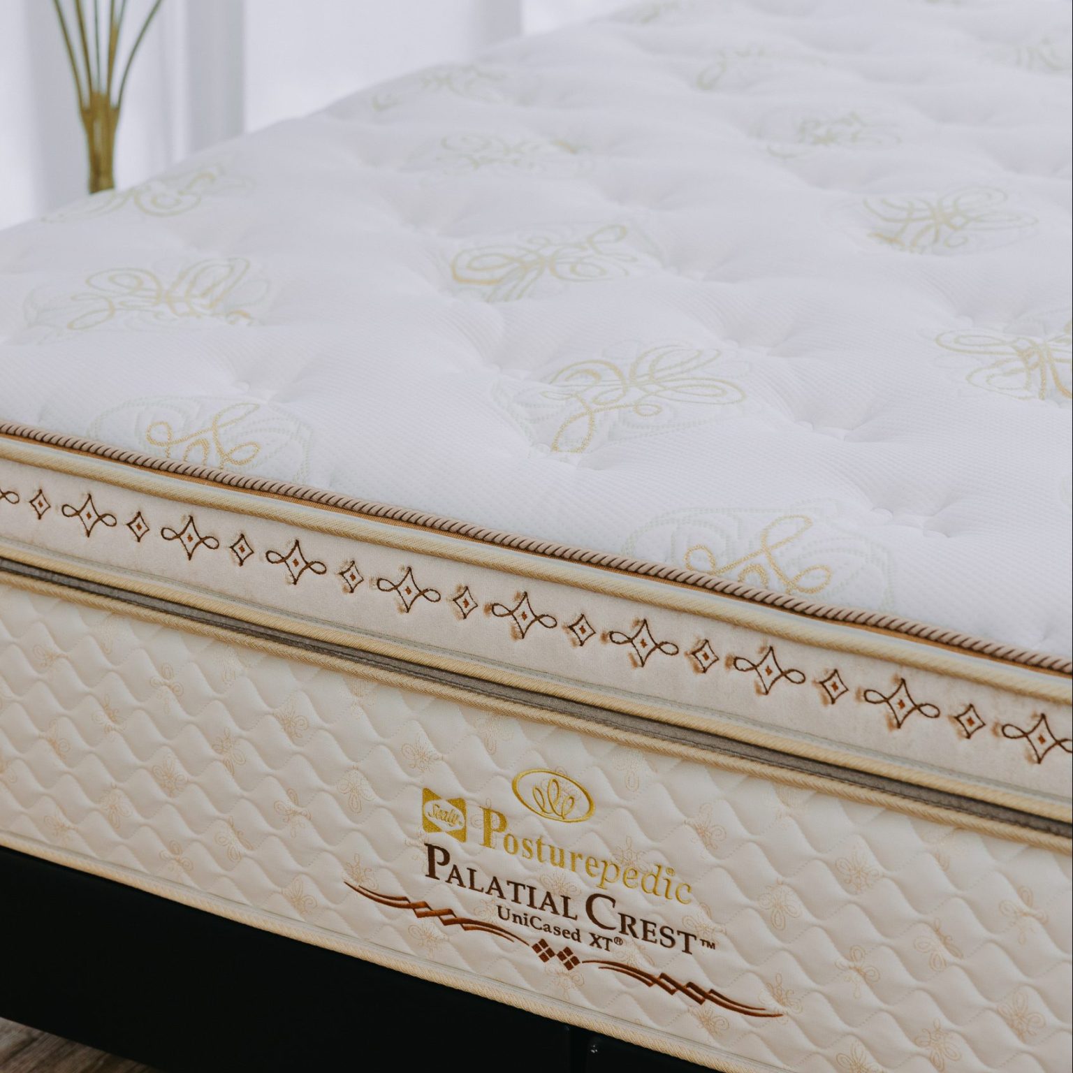 Sealy Mattress Reviews Sealy Singapore