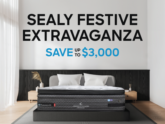 Sealy Festive Extravaganza 2024