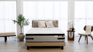 Brand new Sealy mattress in a bedroom