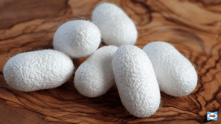 Cocoons